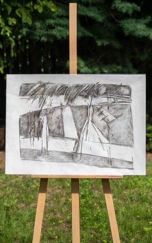 Cyrvonaja-skrypka-2